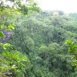 Mitten im Regenwald beim Vulkankrater